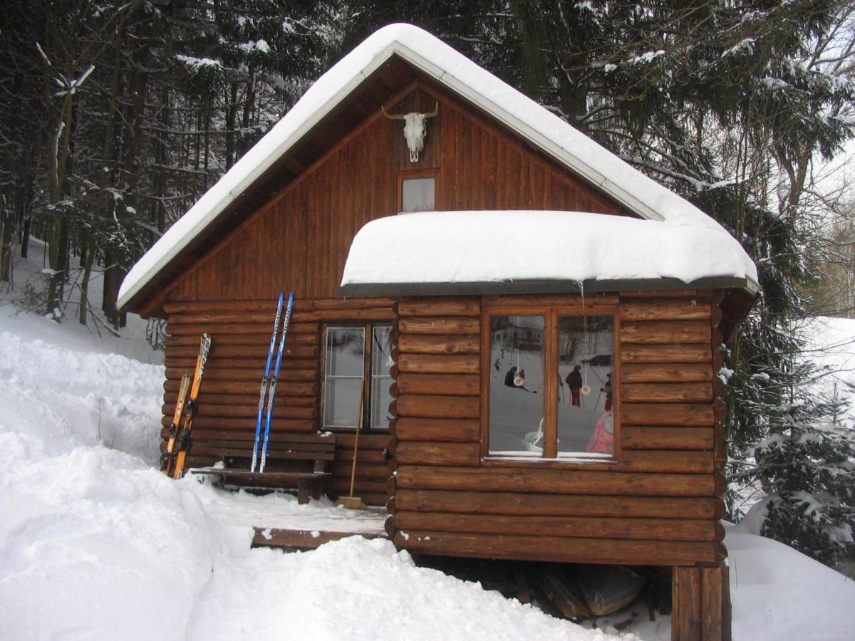 Srub Na Svahu Sjezdovky V Radvanicich Radvanice  Экстерьер фото